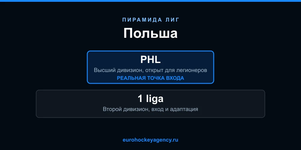 Пирамида хоккейных лиг Польши: PHL и 1 liga